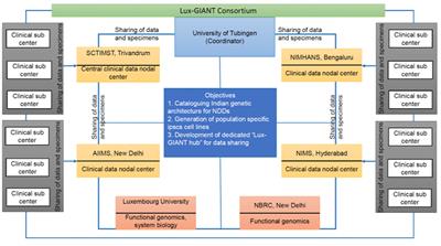 Genetic Architecture of Parkinson's Disease in the Indian Population: Harnessing Genetic Diversity to Address Critical Gaps in Parkinson's Disease Research